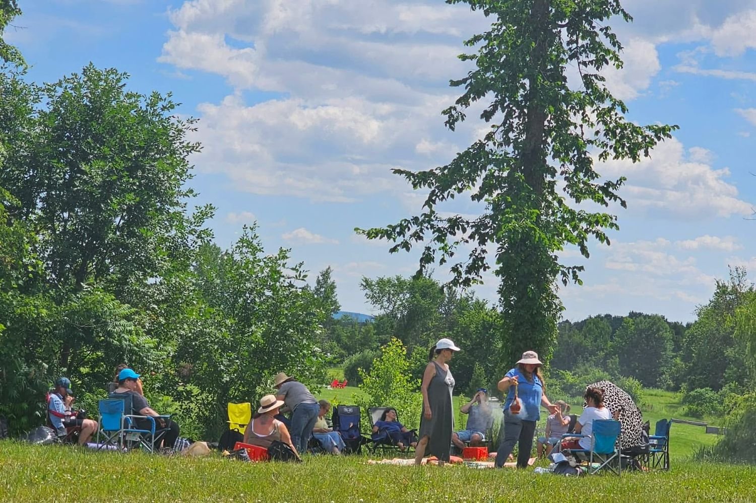 Cercle de personnes réunies en plein air sous un grand arbre